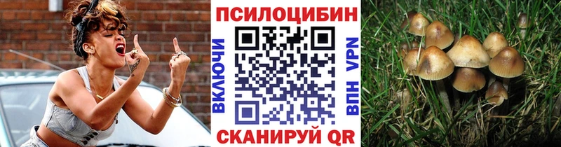 Галлюциногенные грибы Psilocybe Шумерля